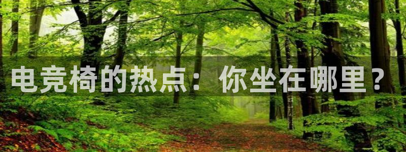 完美电竞cs：电竞椅的热点：你坐在哪里？