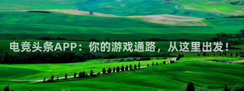完美电竞世界平台：电竞头条APP：你的游戏通路，从这里出发！