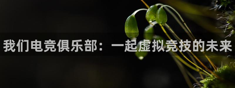 完美电竞世界：我们电竞俱乐部：一起虚拟竞技的未来