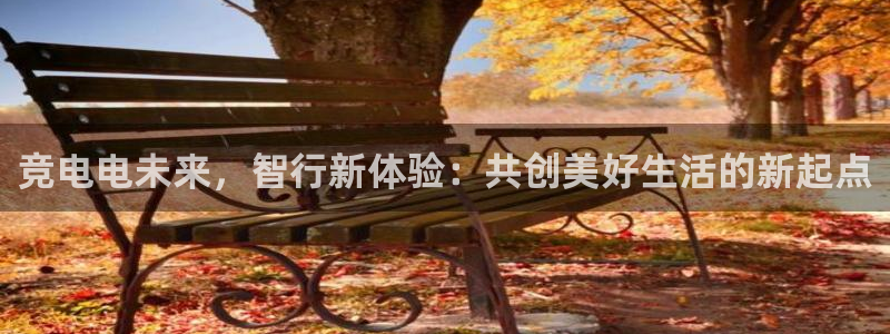 完美电竞竞技平台：竞电电未来，智行新体验：共创美好生活的新起点