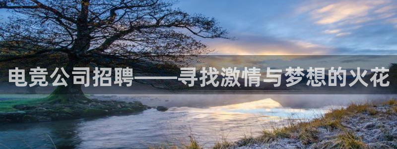 完美电竞账号：电竞公司招聘——寻找激情与梦想的火花