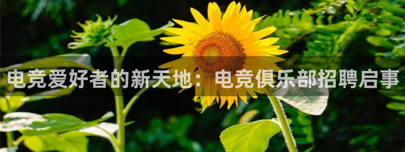 完美电竞联赛：电竞爱好者的新天地：电竞俱乐部招聘启事