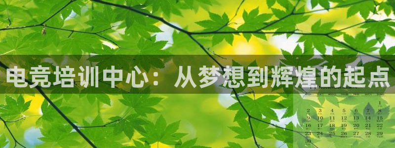 完美电竞对战：电竞培训中心：从梦想到辉煌的起点