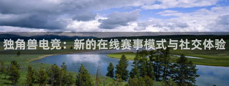 完美电竞联赛：独角兽电竞：新的在线赛事模式与社交体验