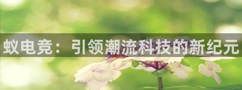 完美电竞官网首页：蚁电竞：引领潮流科技的新纪元
