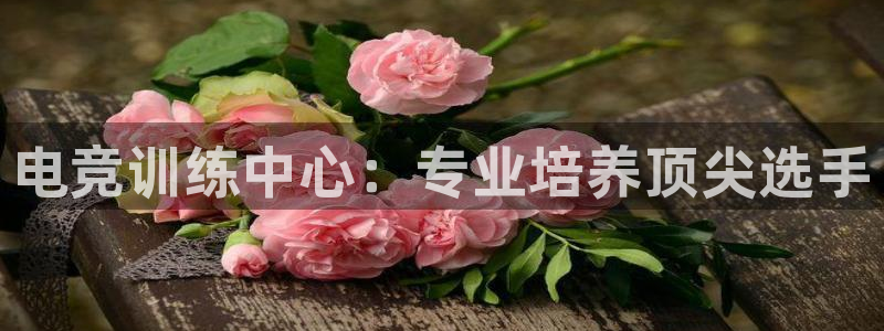 cs完美电竞平台：电竞训练中心：专业培养顶尖选手