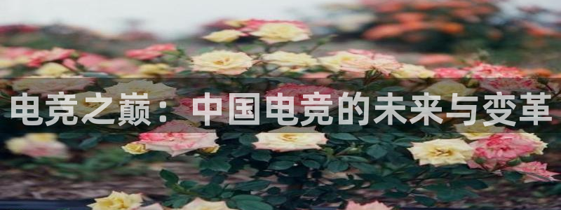 csgo完美电竞平台：电竞之巅：中国电竞的未来与变革