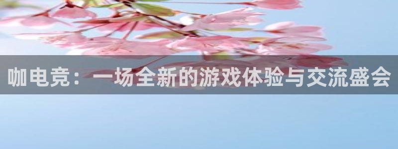 完美电竞竞技平台：咖电竞：一场全新的游戏体验与交流盛会
