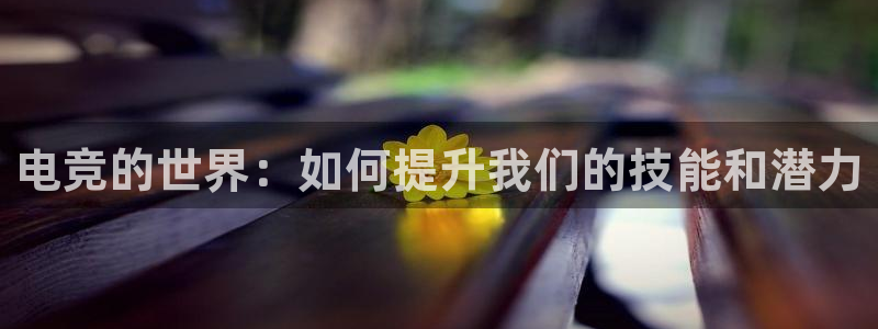 完美电竞app官网：电竞的世界：如何提升我们的技能和潜力