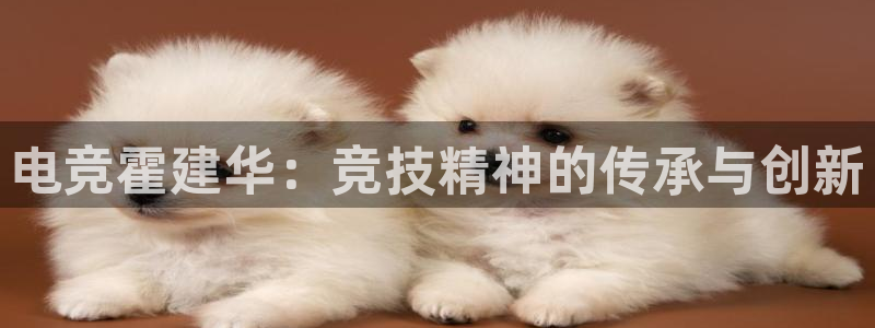 完美电竞对战：电竞霍建华：竞技精神的传承与创新